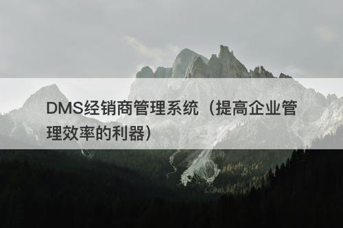 DMS经销商管理系统（提高企业管理效率的利器）