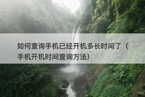 如何查询手机已经开机多长时间了（手机开机时间查询方法）