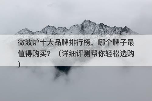 微波炉十大品牌排行榜，哪个牌子最值得购买？（详细评测帮你轻松选购）