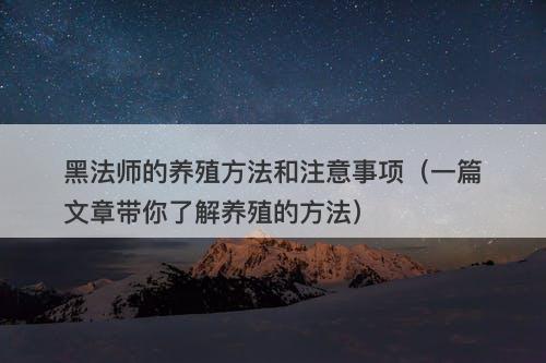 黑法师的养殖方法和注意事项（一篇文章带你了解养殖的方法）