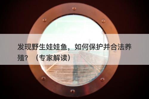 发现野生娃娃鱼，如何保护并合法养殖？（专家解读）