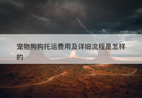 宠物狗狗托运费用及详细流程是怎样的