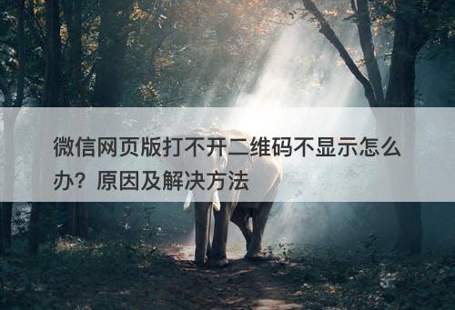 微信网页版打不开二维码不显示怎么办？原因及解决方法