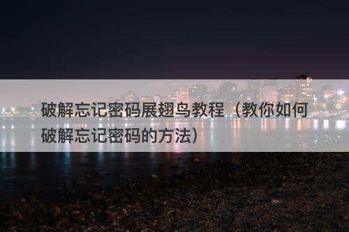 破解忘记密码展翅鸟教程（教你如何破解忘记密码的方法）