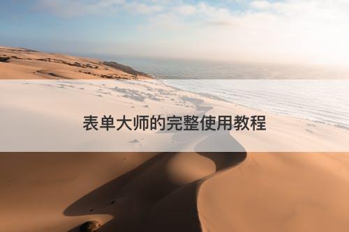 表单大师的完整使用教程