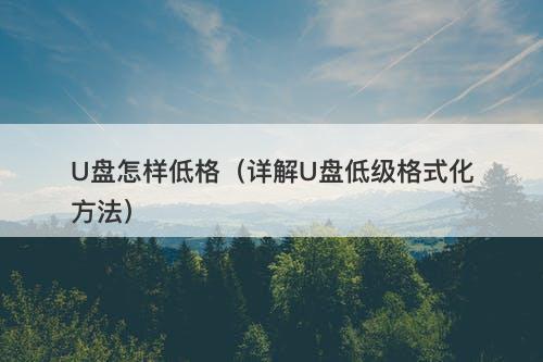 U盘怎样低格（详解U盘低级格式化方法）