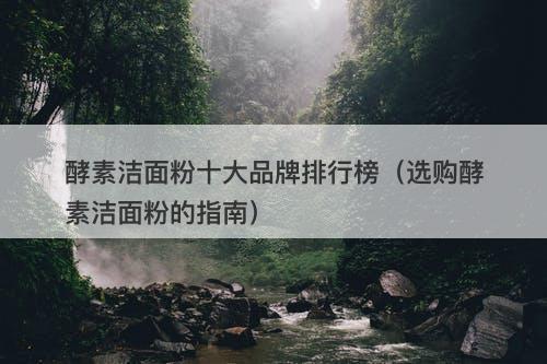 酵素洁面粉十大品牌排行榜（选购酵素洁面粉的指南）