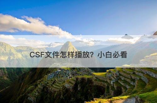 CSF文件怎样播放？小白必看