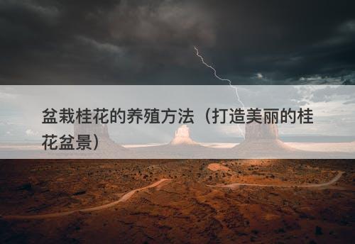 盆栽桂花的养殖方法（打造美丽的桂花盆景）