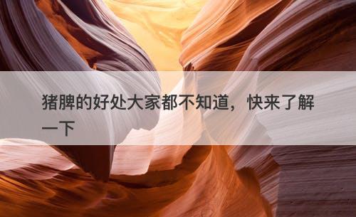 猪脾的好处大家都不知道，快来了解一下
