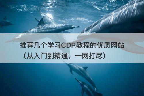 推荐几个学习CDR教程的优质网站（从入门到精通，一网打尽）