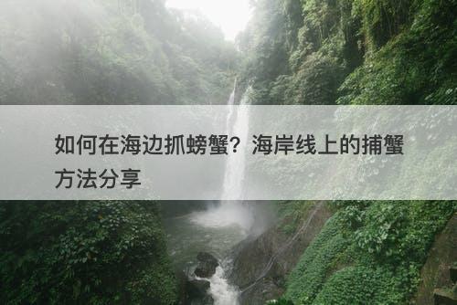 如何在海边抓螃蟹？海岸线上的捕蟹方法分享