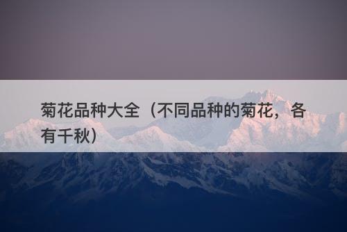 菊花品种大全（不同品种的菊花，各有千秋）