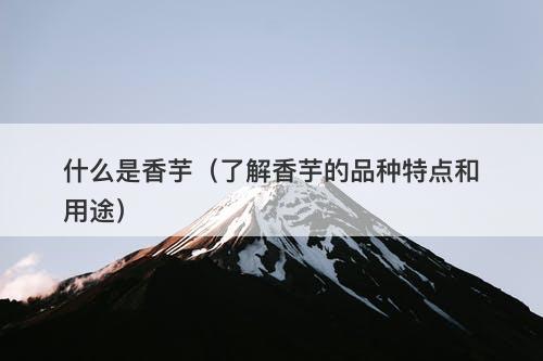 什么是香芋（了解香芋的品种特点和用途）