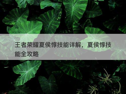 王者荣耀夏侯惇技能详解，夏侯惇技能全攻略