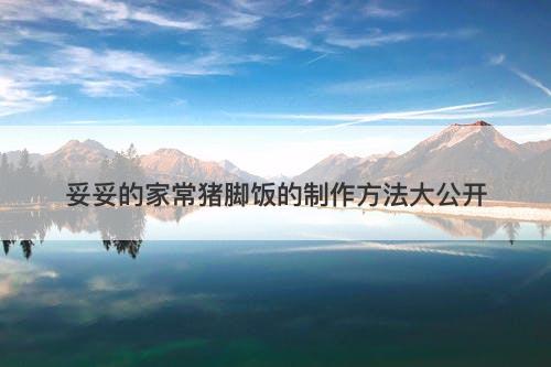 妥妥的家常猪脚饭的制作方法大公开