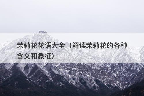 茉莉花花语大全（解读茉莉花的各种含义和象征）