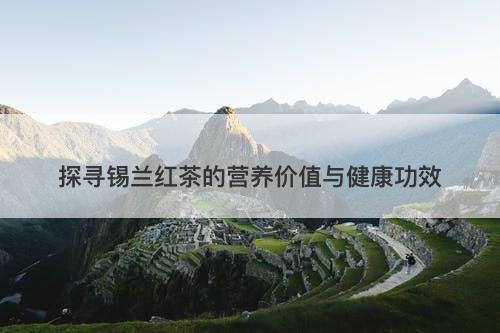 探寻锡兰红茶的营养价值与健康功效
