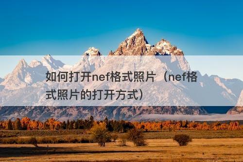 如何打开nef格式照片（nef格式照片的打开方式）