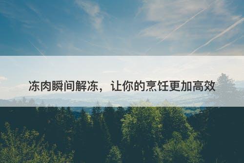 冻肉瞬间解冻，让你的烹饪更加高效