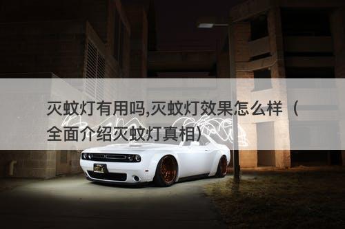 灭蚊灯有用吗,灭蚊灯效果怎么样（全面介绍灭蚊灯真相）