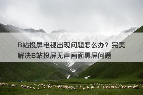 B站投屏电视出现问题怎么办？完美解决B站投屏无声画面黑屏问题