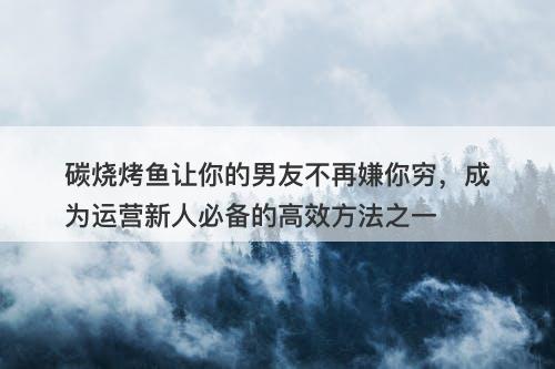 碳烧烤鱼让你的男友不再嫌你穷，成为运营新人必备的高效方法之一