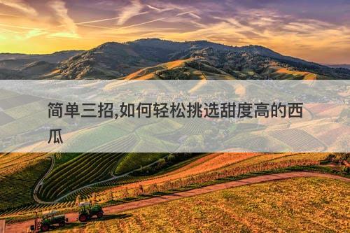 简单三招,如何轻松挑选甜度高的西瓜