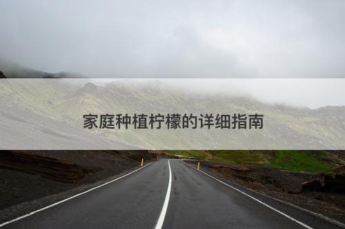 家庭种植柠檬的详细指南