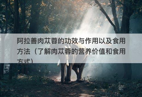 阿拉善肉苁蓉的功效与作用以及食用方法（了解肉苁蓉的营养价值和食用方式）