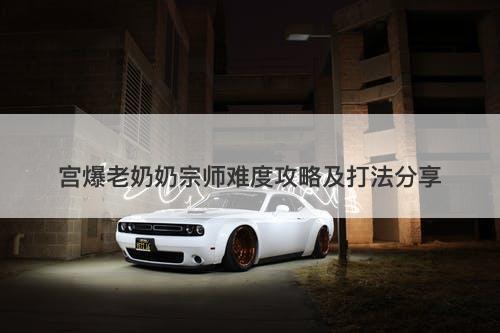 宫爆老奶奶宗师难度攻略及打法分享
