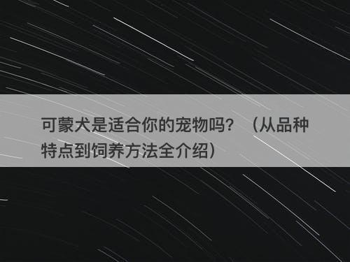 可蒙犬是适合你的宠物吗？（从品种特点到饲养方法全介绍）