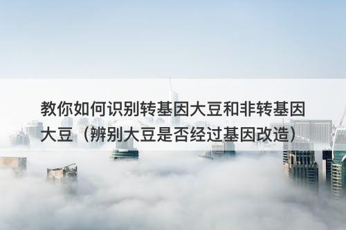 教你如何识别转基因大豆和非转基因大豆（辨别大豆是否经过基因改造）