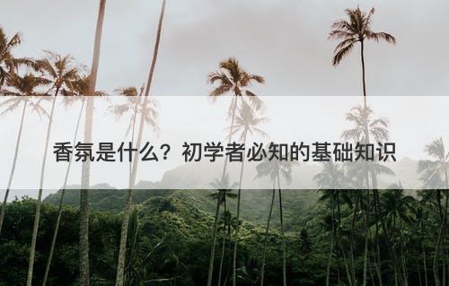 香氛是什么？初学者必知的基础知识