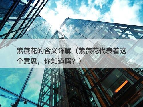 紫薇花的含义详解（紫薇花代表着这个意思，你知道吗？）