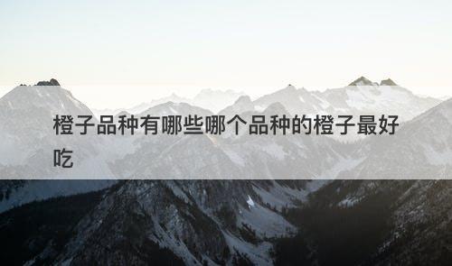 橙子品种有哪些哪个品种的橙子最好吃