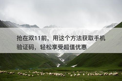 抢在双11前，用这个方法获取手机验证码，轻松享受超值优惠