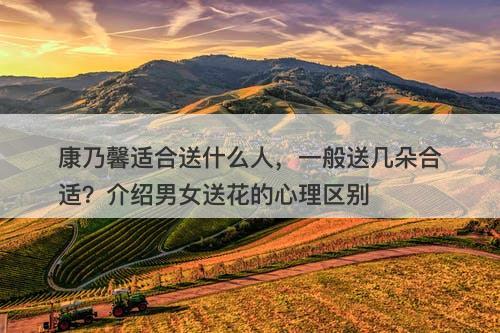 康乃馨适合送什么人，一般送几朵合适？介绍男女送花的心理区别