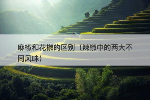 麻椒和花椒的区别（辣椒中的两大不同风味）
