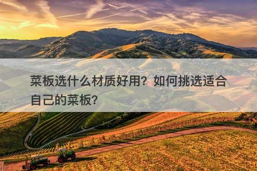 菜板选什么材质好用？如何挑选适合自己的菜板？