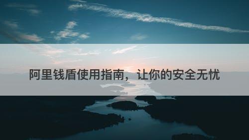 阿里钱盾使用指南，让你的安全无忧