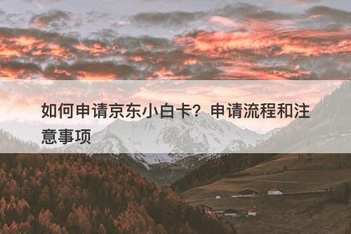 如何申请京东小白卡？申请流程和注意事项