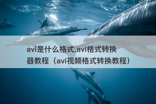 avi是什么格式,avi格式转换器教程（avi视频格式转换教程）
