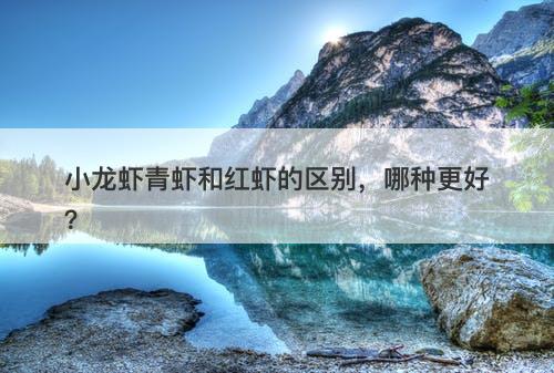 小龙虾青虾和红虾的区别，哪种更好？