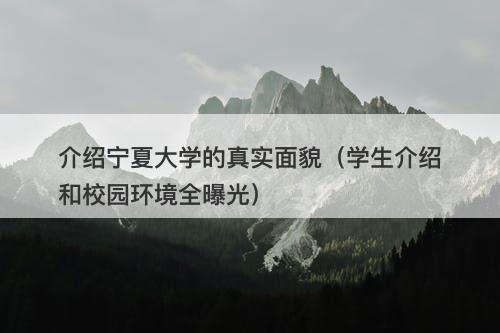 介绍宁夏大学的真实面貌（学生介绍和校园环境全曝光）