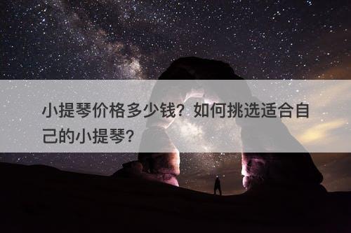 小提琴价格多少钱？如何挑选适合自己的小提琴？