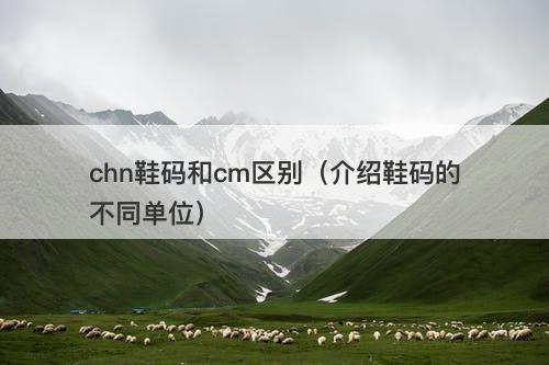 chn鞋码和cm区别（介绍鞋码的不同单位）