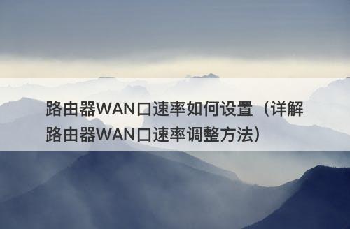 路由器WAN口速率如何设置（详解路由器WAN口速率调整方法）