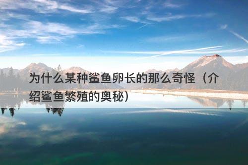 为什么某种鲨鱼卵长的那么奇怪（介绍鲨鱼繁殖的奥秘）