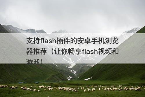 支持flash插件的安卓手机浏览器推荐（让你畅享flash视频和游戏）